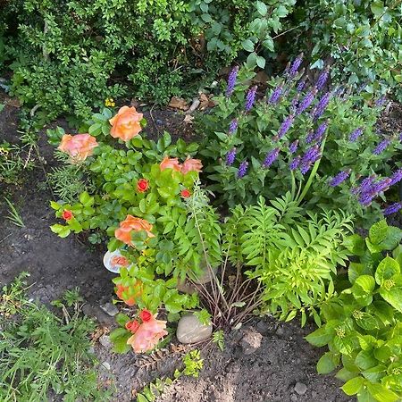 Urlaubsdomizil Norden/Norddeich, Mit Garten Eksteriør bilde