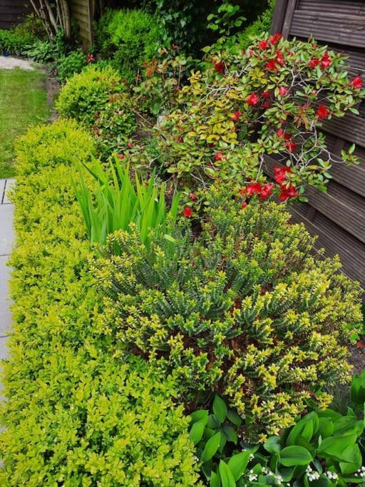 Urlaubsdomizil Norden/Norddeich, Mit Garten Eksteriør bilde